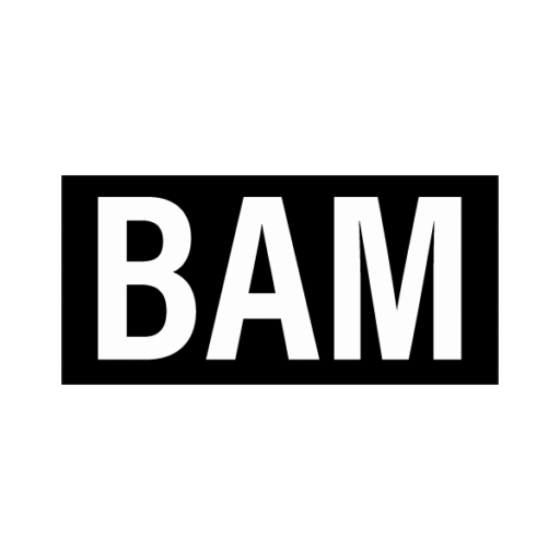 BAM Enterprises